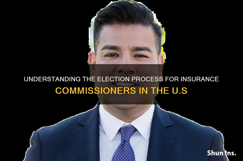 how is the insurance commissioner put into office