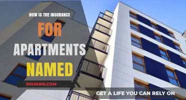 Understanding Apartment Insurance: How Policies Get Their Unique Names