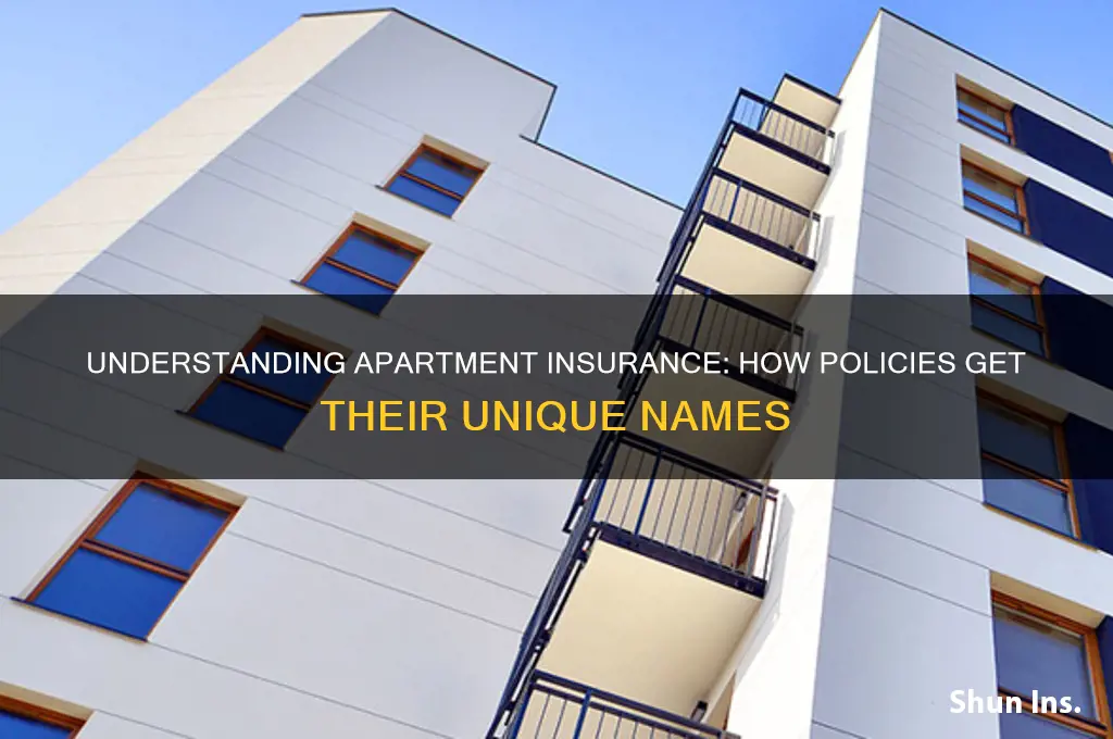 how is the insurance for apartments named