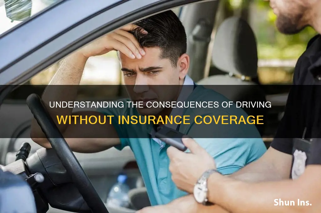 how is the penalty for not having insurance