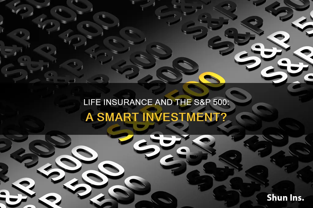 how is the s&p 500 for life insurance index