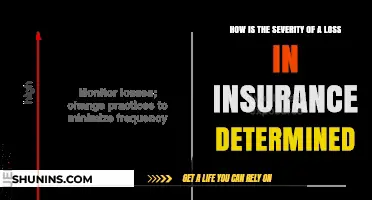 Understanding Insurance Loss Severity: Key Factors and Assessment Methods