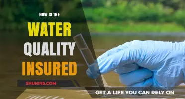 Ensuring Safe Water Quality: Methods, Standards, and Monitoring Practices