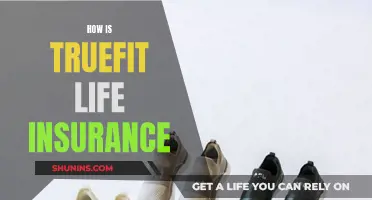 Truefit Life Insurance: Your Ultimate Financial Safety Net