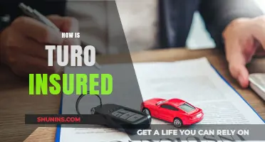 Understanding Turo's Insurance Coverage: Protection for Hosts and Renters
