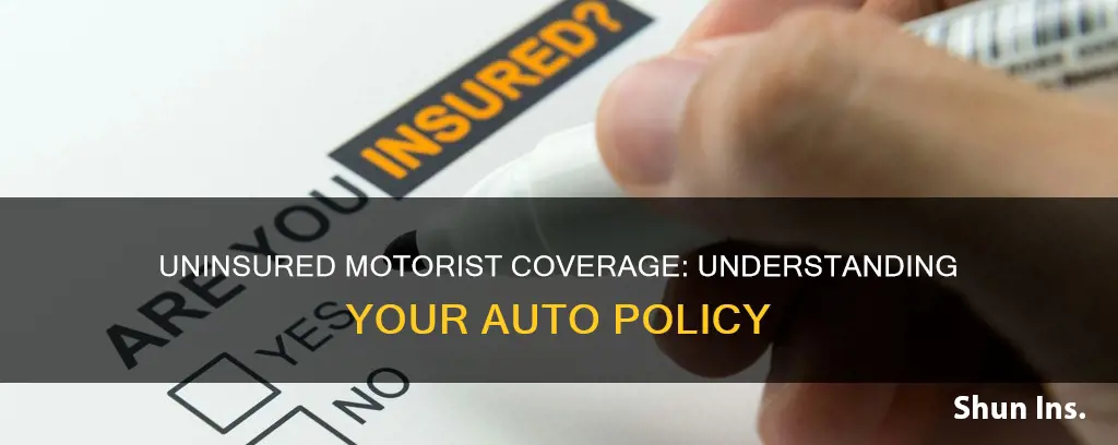 how is uninsured insured coverage listed on my auto policy