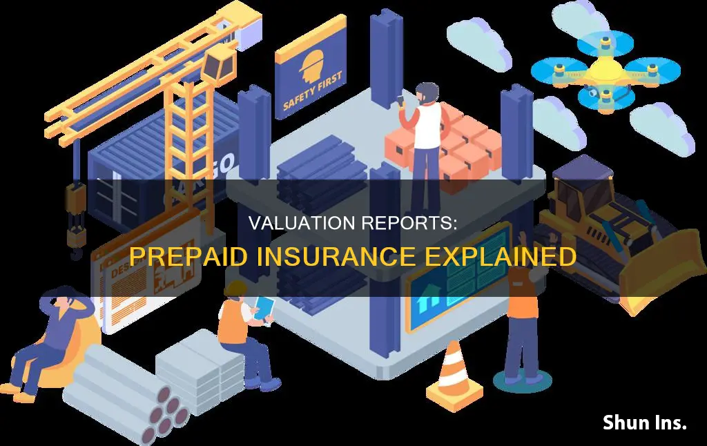how is valuation report for prepaiud insurance