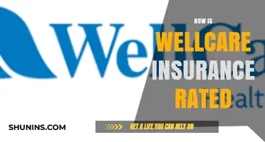 WellCare Insurance: Is It Worth the Cost?