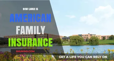 Exploring the Scale and Reach of American Family Insurance