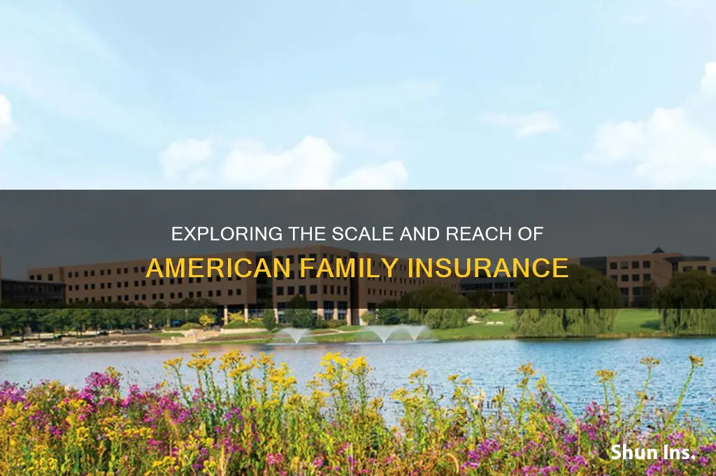 how large is american family insurance