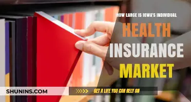 Iowa's Individual Health Insurance Market: Size, Trends, and Insights