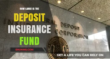 Understanding the Size and Scope of the Deposit Insurance Fund