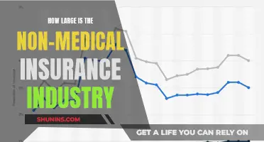 The Size of the Non-Medical Insurance Industry Globally