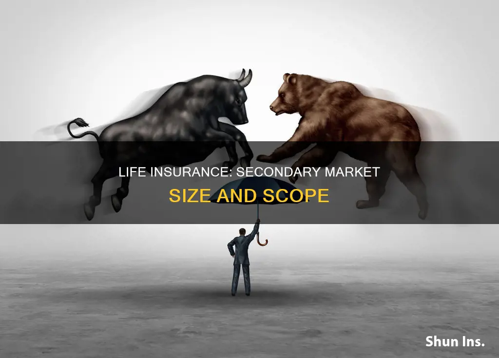 how large is the secondary market for life insurance