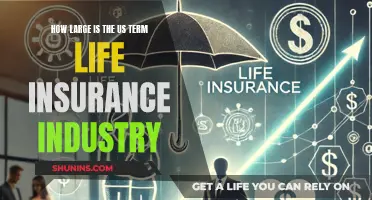 The US Term Life Insurance Industry: Size and Scope