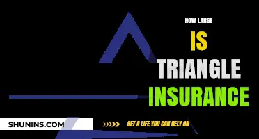 Understanding the Scale and Reach of Triangle Insurance Coverage