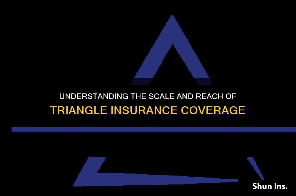 how large is triangle insurance
