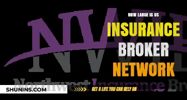 Exploring the Vast Reach of the US Insurance Broker Network