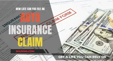 When is Too Late to File an Auto Insurance Claim?