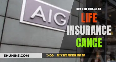 Life Insurance Cancellation: Understanding AIG's Late Policy