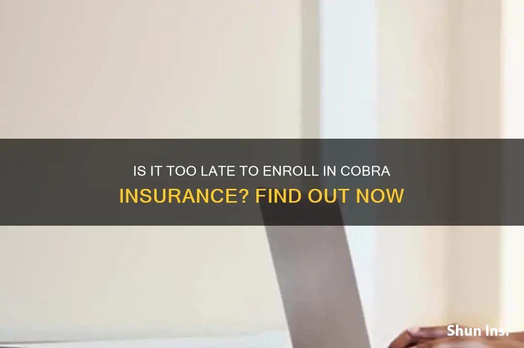 how late it too late for cobra insurance