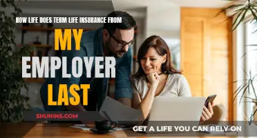 Understanding Your Employer's Term Life Insurance Coverage Duration