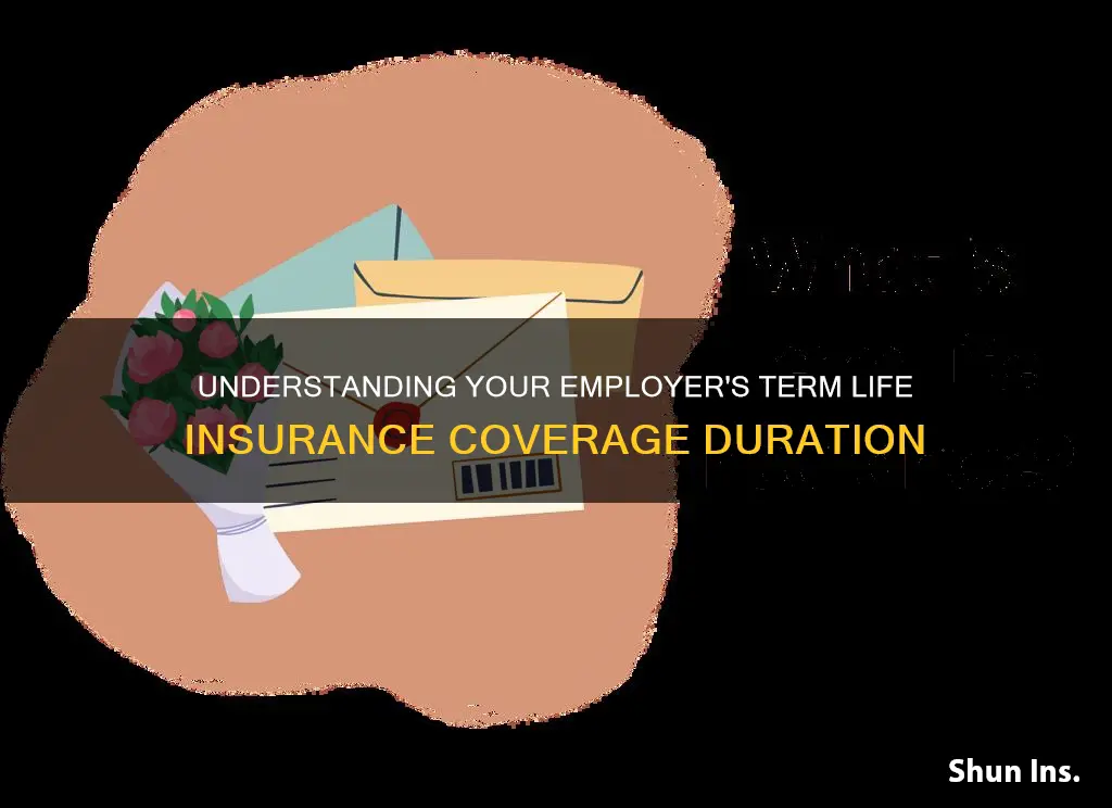 how life does term life insurance from my employer last