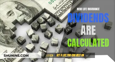 Understanding Life Insurance Dividends Calculation Process