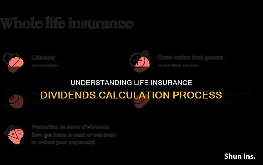 how life insurance dividends are calculated