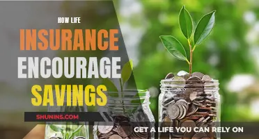 Life Insurance: Encouraging Savings for a Secure Future