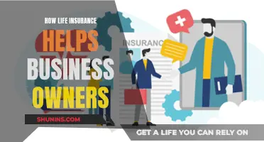 Life Insurance: A Business Owner's Safety Net