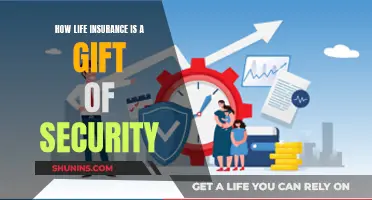 Life Insurance: A Gift of Lasting Security