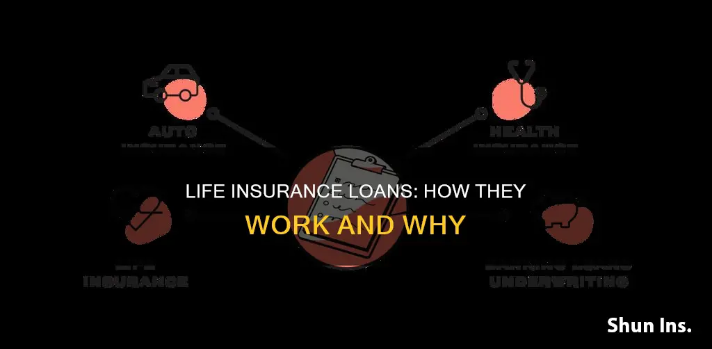 how life insurance loans rally wprk and why