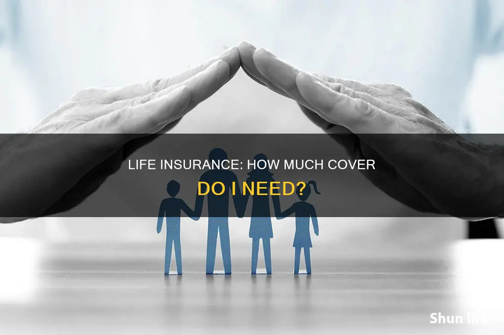 how life insurance should I have