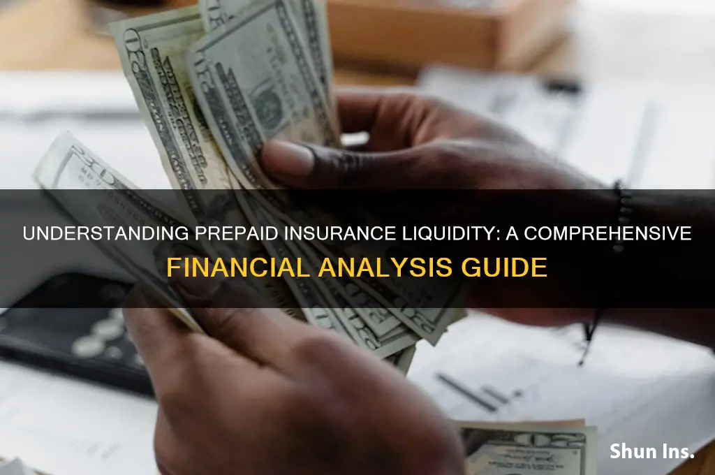 how liquid is prepaid insurance