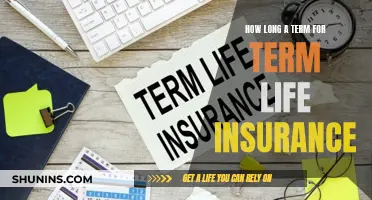 Term Life Insurance: Choosing the Right Policy Duration