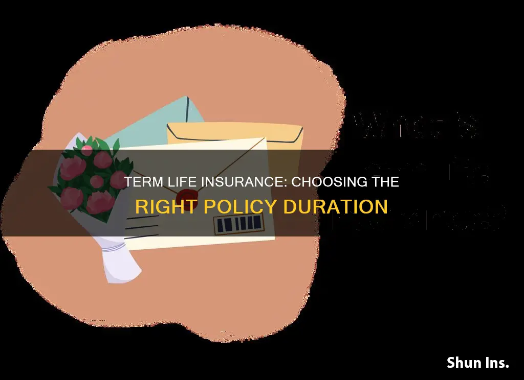 how long a term for term life insurance