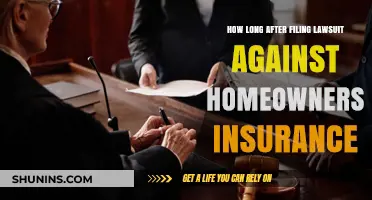 When to Expect a Response from Your Homeowners Insurance Lawsuit