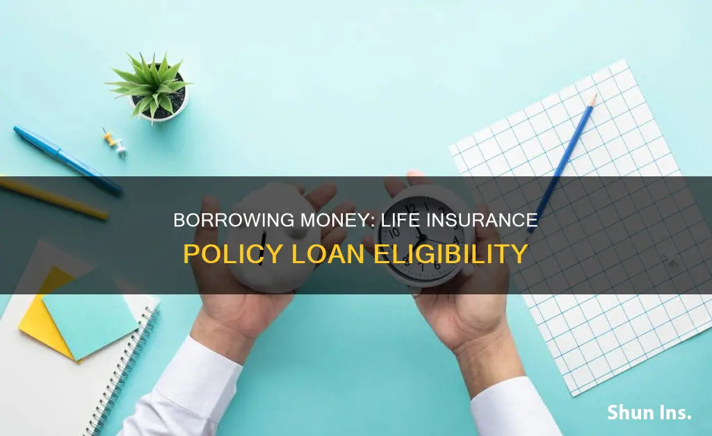 how long after getting life insurance can you borrow money