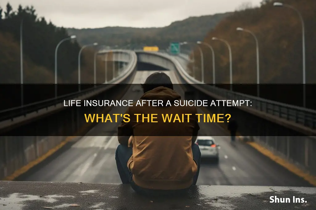 how long after suicide attempt can I get life insurance