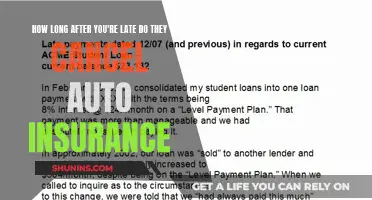 The Fine Print: Understanding Auto Insurance Cancellation Policies and Late Payments