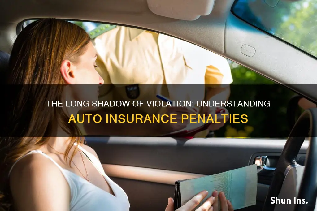 how long auto insurance company punish for violation