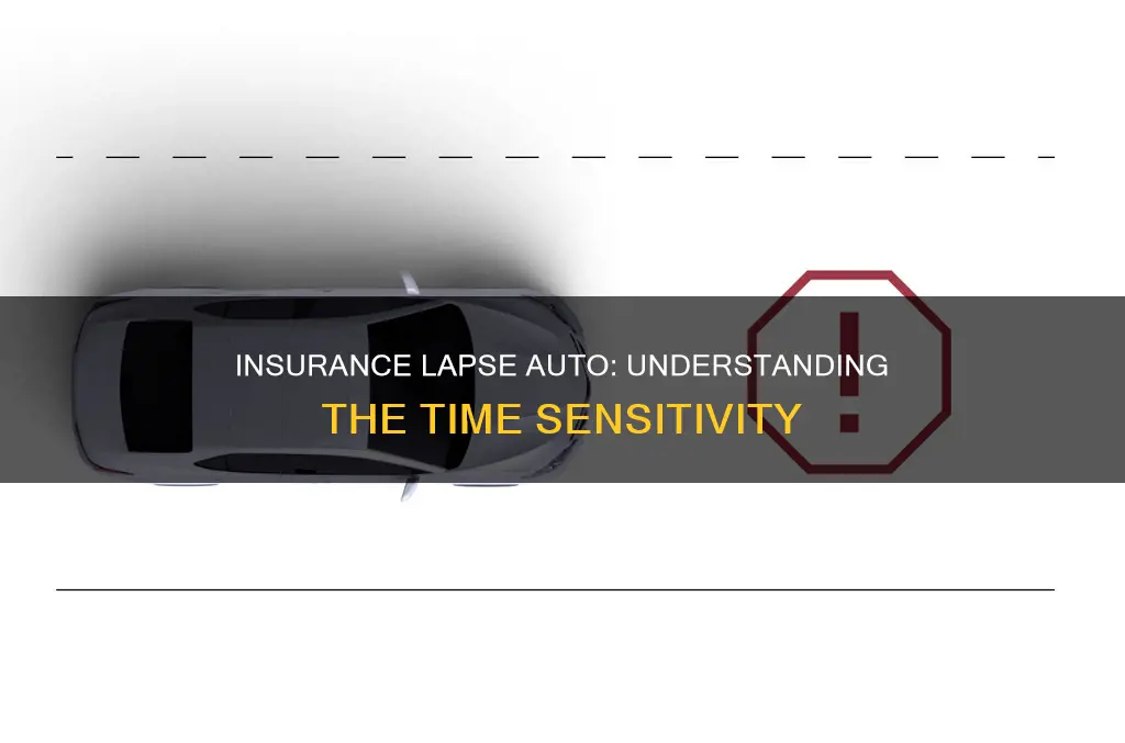 how long before insurance lapse auto