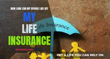 Life Insurance: Supporting Your Spouse After You're Gone