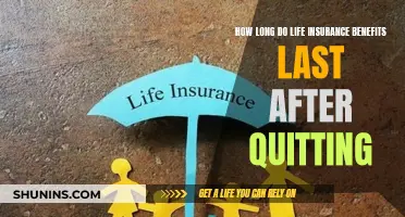 Life Insurance Benefits: Understanding Post-Quitting Coverage