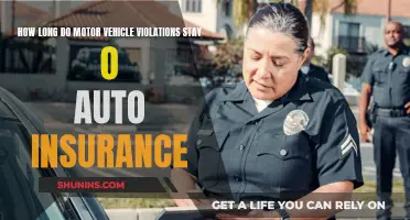 Auto Insurance: Understanding the Impact of Motor Vehicle Violations