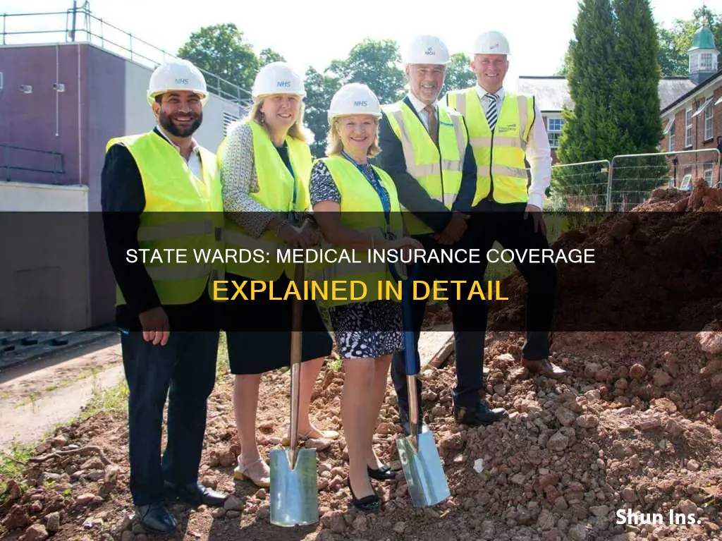how long do wards of state have medical insurance
