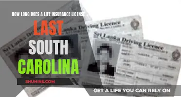 Life Insurance Licenses in South Carolina: Validity and Renewal