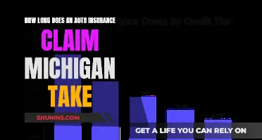 Auto Insurance Claims in Michigan: How Long Do They Take?