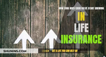 Understanding Life Insurance: When Does Cash Value Start Growing?